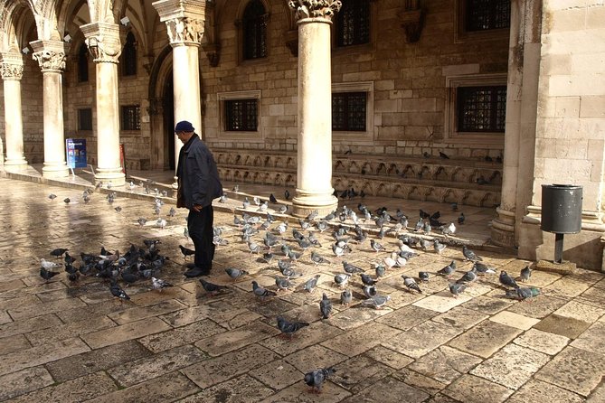 Dubrovnik's Old Town Walking Tour - Following Stradun, Dubrovnik’s main artery