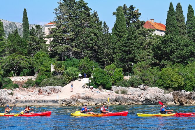 Dubrovnik: Sea Kayaking & Snorkeling Tour - Is $36.28 good value?