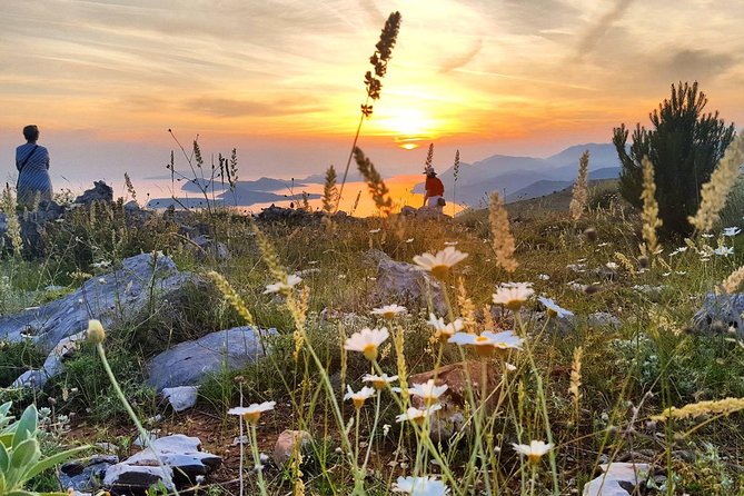 Dubrovnik Sunset Tour with Wine Tasting - Ombla river spring adds a local story
