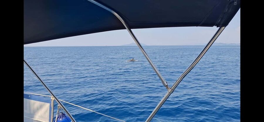 Dubrovnik yacht cruise-Elafity islands & Blue cave - Kolocep and the Blue Cave stop
