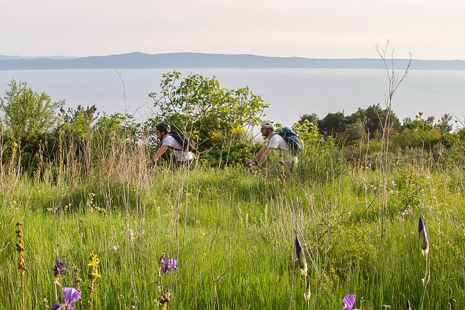 E-Bike Tour at Historical Villages of Makarska - Timing, Meeting Point, and Physical Effort