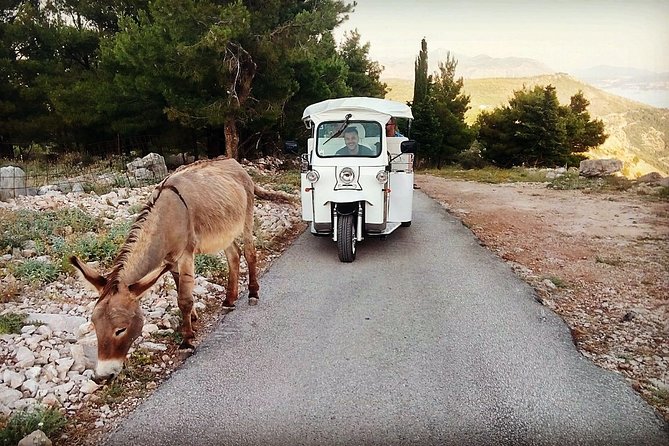 E-Tuk Tuk Tour in Dubrovnik - The Franjo Tudjman Bridge photo stop