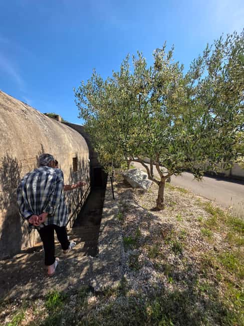 Eco tuk tuk Highlights of Zadar - Is $41 good value?