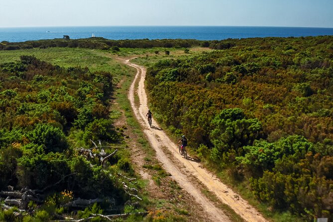 Electric Off-Road Scooter Tour in Pula - Who Will Enjoy This Ride Most?