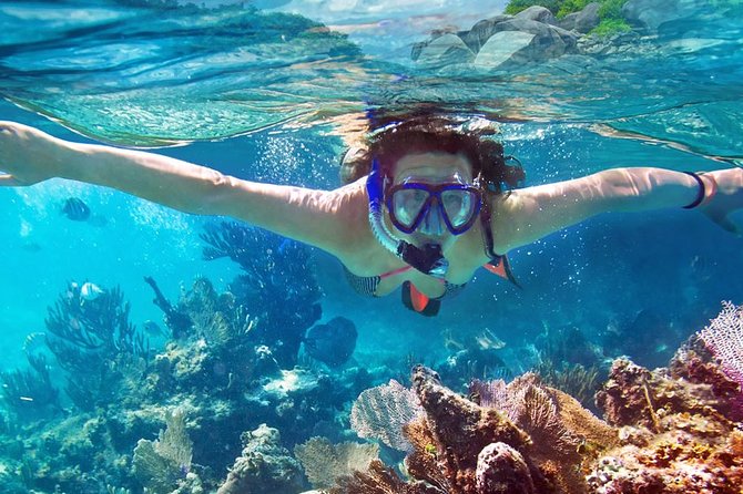 Explore the Caves and Hidden Bays with Underwater Scooter - Who should book this Elaphiti Islands outing