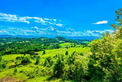 Fairytale Castle & Wine Tasting & Lunch