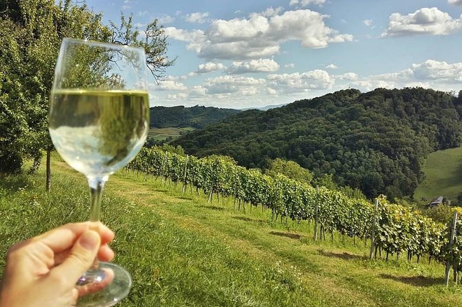 Fairytale Castle & Wine Tasting & Lunch - The guides can shape the whole day