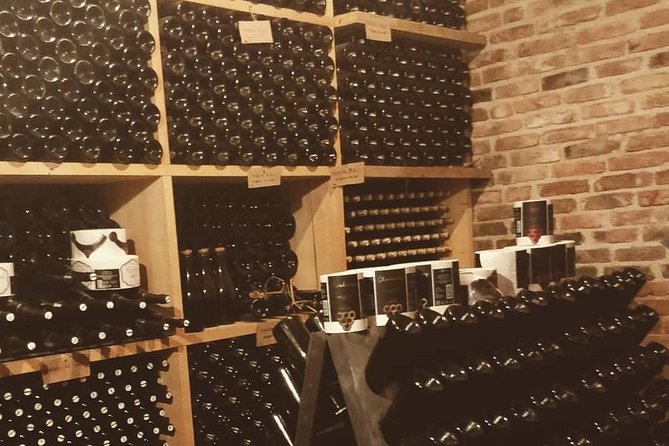 Fairytale Castle & Wine Tasting & Lunch - Practical details that affect your decision