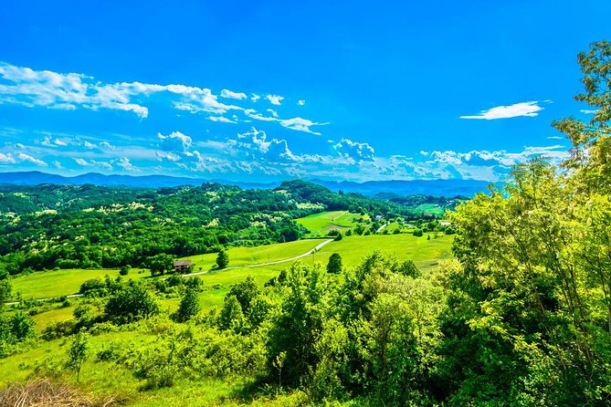 Fairytale Castle & Wine Tasting & Lunch - The second castle, mansion, or private collection