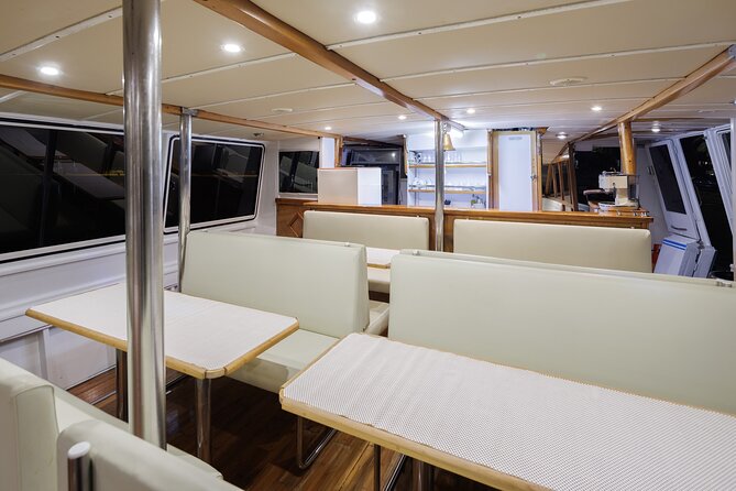 Fantastic DOLPHIN & SUNSET TOUR with dinner ( Pula-NP BRIJUNI ) - Key points to know before you book