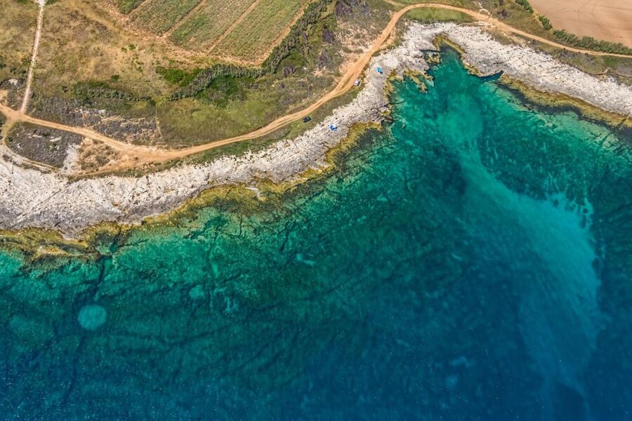 Fazana: Brijuni National Park Scenic Boat Tour - The first 15 minutes: Veliki Brijun