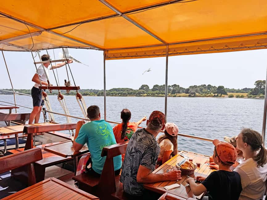 Fazana: Dolphin Finder in Brijuni islands Safari with Dinner - Watching for bottlenose dolphins