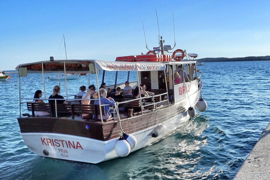 Fazana: Guided Dolphin Watching Sightseeing Cruise at Sunset - Key points before you book