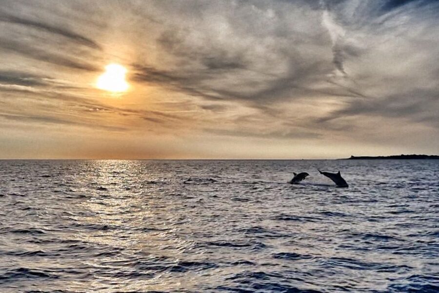 Fazana: Guided Dolphin Watching Sightseeing Cruise at Sunset - Leaving Fazana from the main pier
