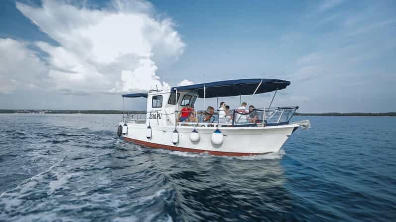 Fažana: Sail like a president with Brijuni Panorama - Key points to know before you book