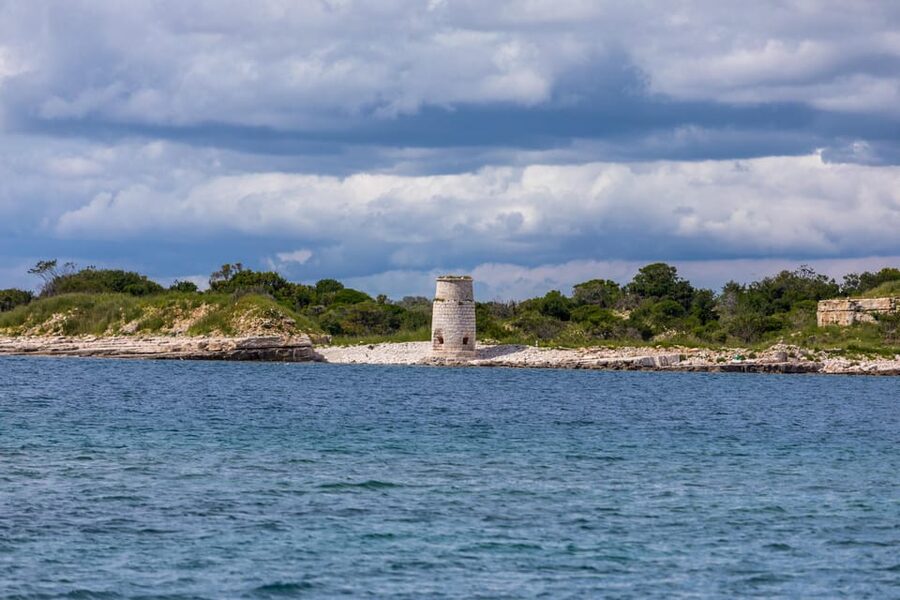 Fažana: Sail like a president with Brijuni Panorama - Dolphins, coastal animals, and realistic expectations