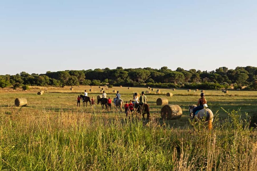 Fazana: Sunset 1-hour Horse Riding in Nature with Guide - Starting at the ranch outside Fažana