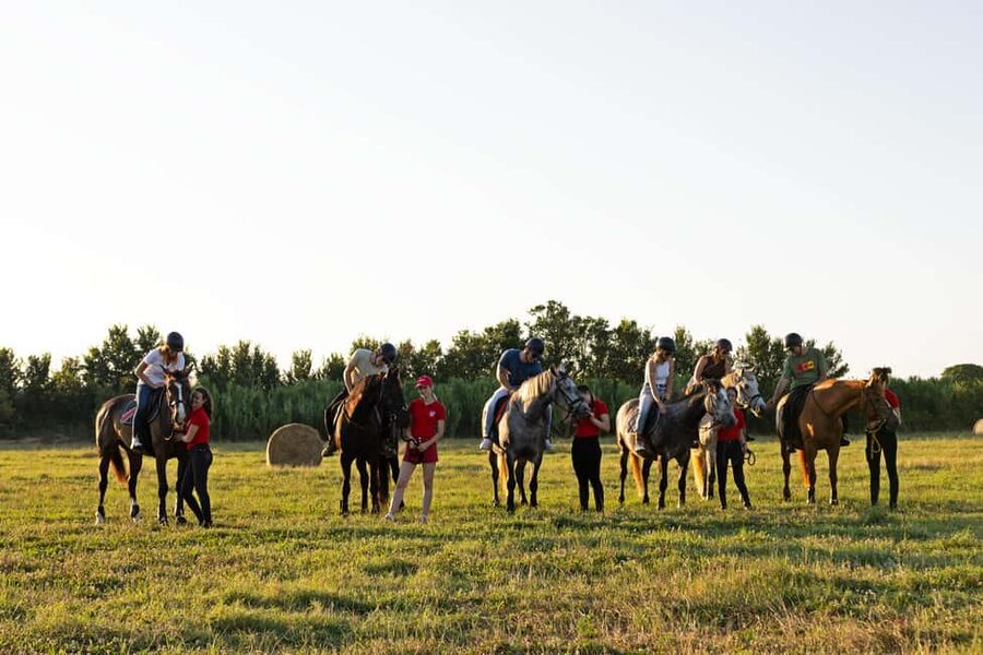 Fazana: Sunset 1-hour Horse Riding in Nature with Guide - Riding through pine woods near Fažana