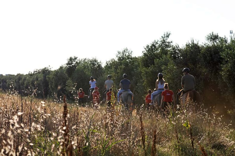 Fazana: Sunset 1-hour Horse Riding in Nature with Guide - What $58 per person buys you