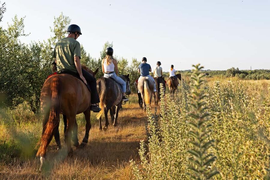 Fazana: Sunset 1-hour Horse Riding in Nature with Guide - Who should book this ride?