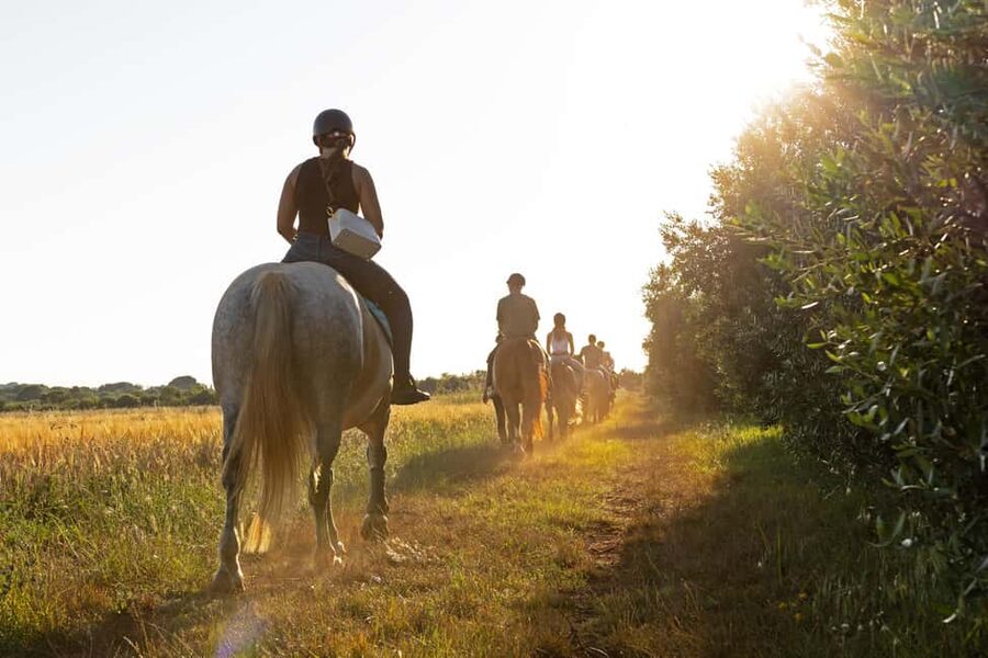 Fazana: Sunset 1-hour Horse Riding in Nature with Guide - Matching you with a calm horse