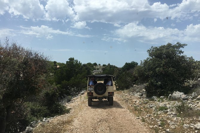 Feel and Taste island Brac with local experts - island adventure to remember - Vidova Gora and Brac’s widest view