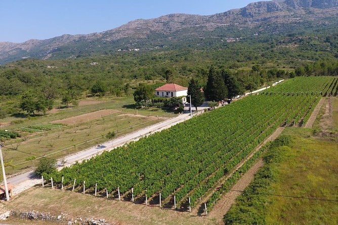 Flavours of Konavle: Wine, Food & Village Life Experience - Through Srebreno, Mlini, and Plat