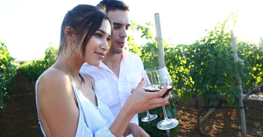 From Biograd: Wine and Olive Oil Tasting in Ražnjevića Dvori - Leaving Biograd for Ravni Kotari