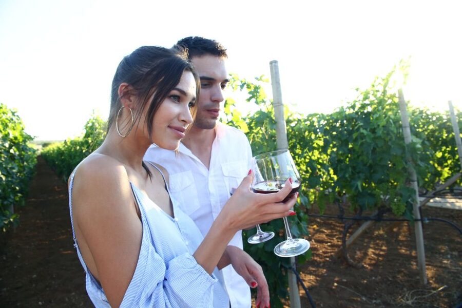 From Biograd: Wine and Olive Oil Tasting in Ražnjevića Dvori - Four wines and the Zinfandel connection