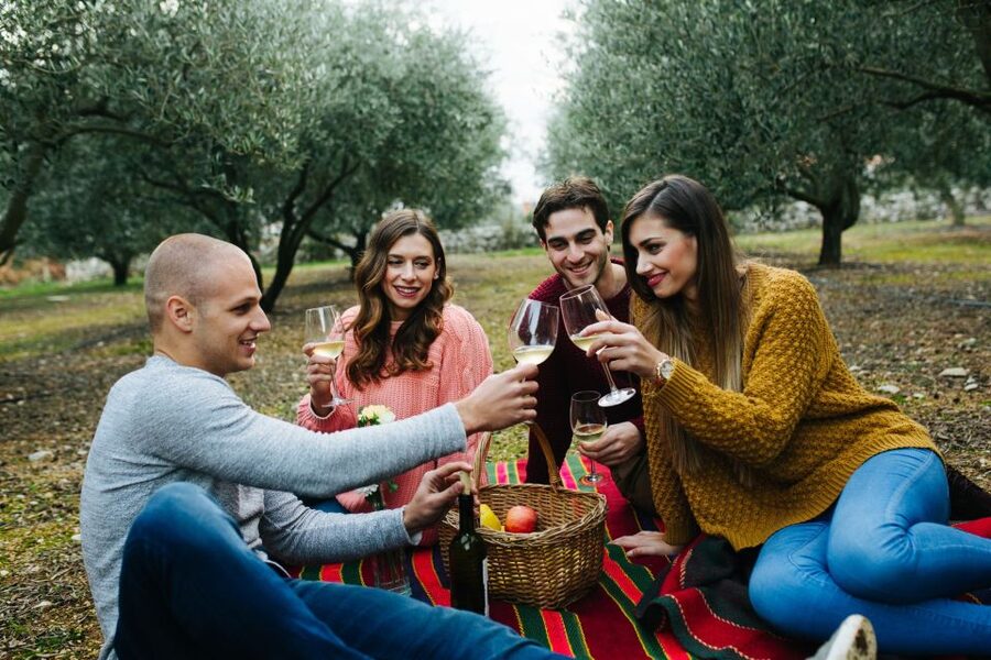From Biograd: Wine and Olive Oil Tasting in Ražnjevića Dvori - Is $57 a fair price?