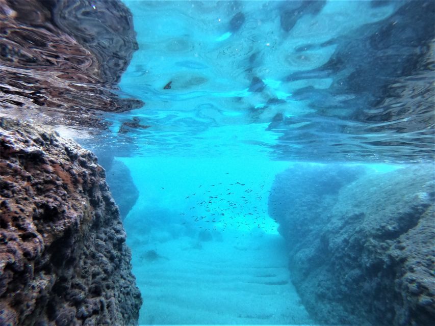 From Dubrovnik: 4-hour Elafiti Islands Private Boat Tour - Four hours requires a clear plan