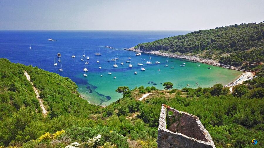From Dubrovnik: Full-Day Private Boat Tour of Elafiti Island - Leaving Dubrovnik for Koločep