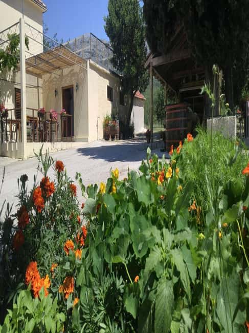 From Dubrovnik: Half-Day Wine Tasting and Cavtat City Tour - The Konavle Valley winery visit