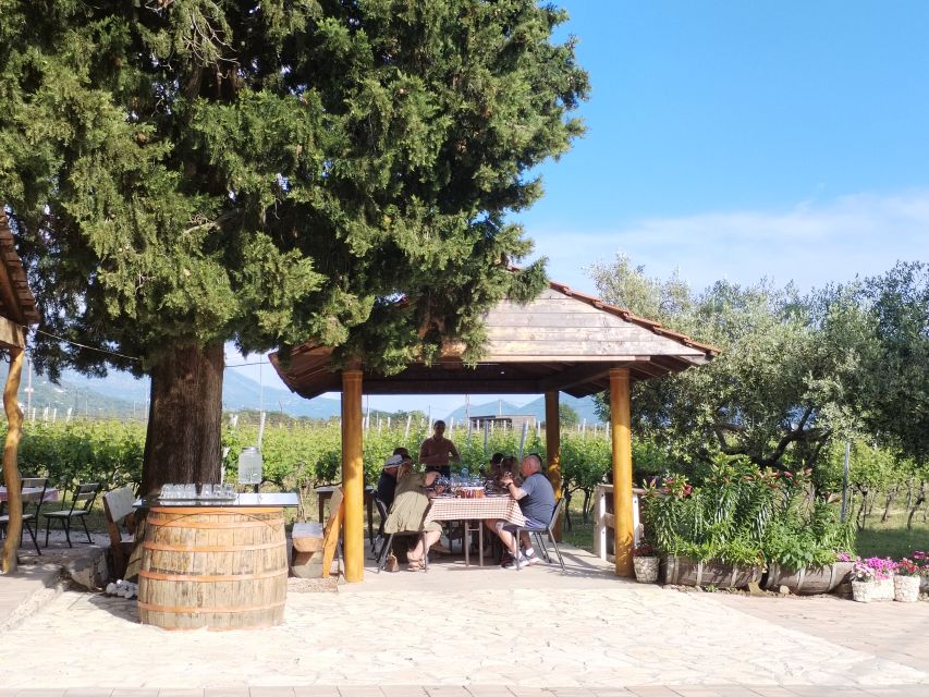 From Dubrovnik: Half-Day Wine Tasting and Cavtat City Tour - Group size and the social side