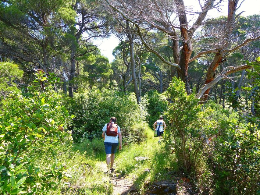 From Dubrovnik: Hiking & Swimming on Koločep Island Day Trip - Lunch at a small fish restaurant