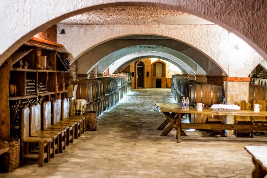 From Dubrovnik: Island of Korčula with wine tasting - The guides and the quality of the day