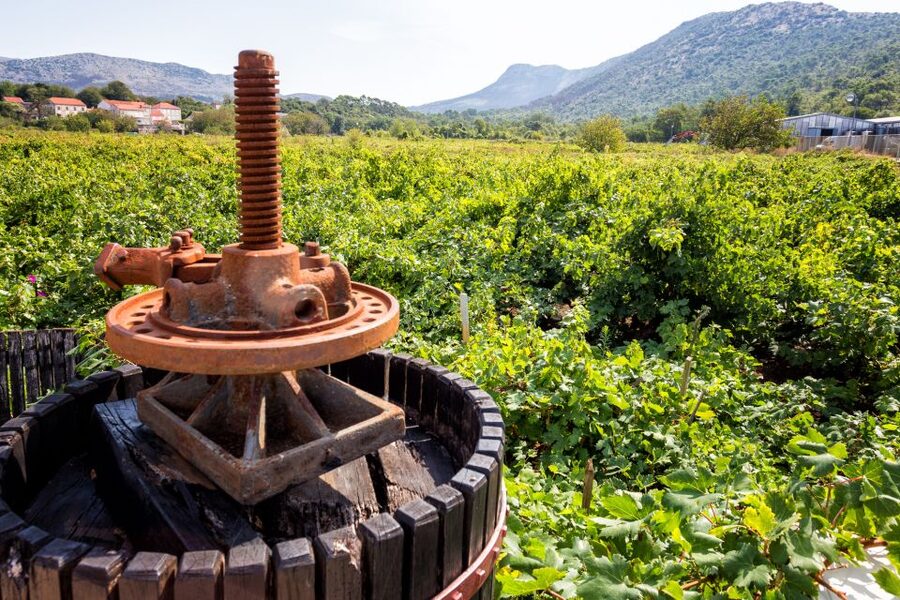 From Dubrovnik: Island of Korčula with wine tasting - Ston: walls, salt, and a very short visit