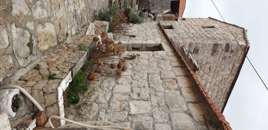 From Dubrovnik: Majkovi Village and Ston Private Food Tour - Timing, transport, and comfort
