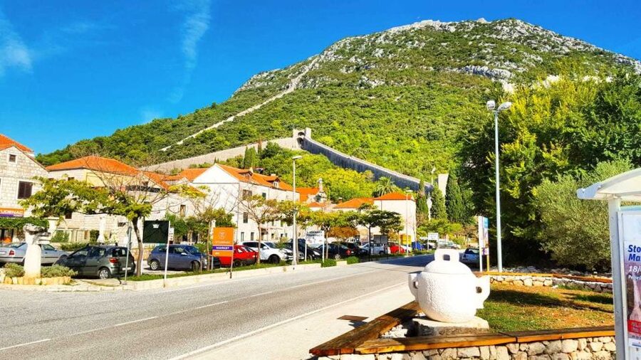 From Dubrovnik: Majkovi Village and Ston Private Food Tour - Who should book this experience