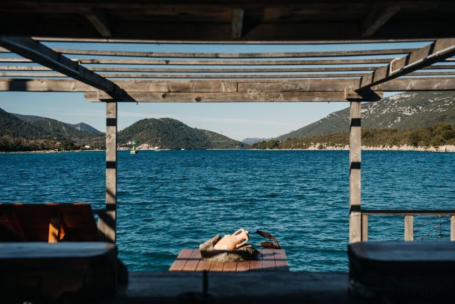 From Dubrovnik: Mali Ston Oyster Paradise Tour with Transfer - Key points to know before booking