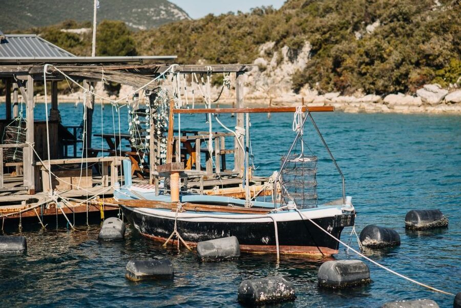 From Dubrovnik: Mali Ston Oyster Paradise Tour with Transfer - Is $176 a fair price?