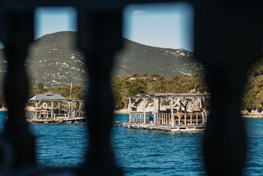 From Dubrovnik: Mali Ston Oyster Paradise Tour with Transfer - Timing, cancellation, and practical planning