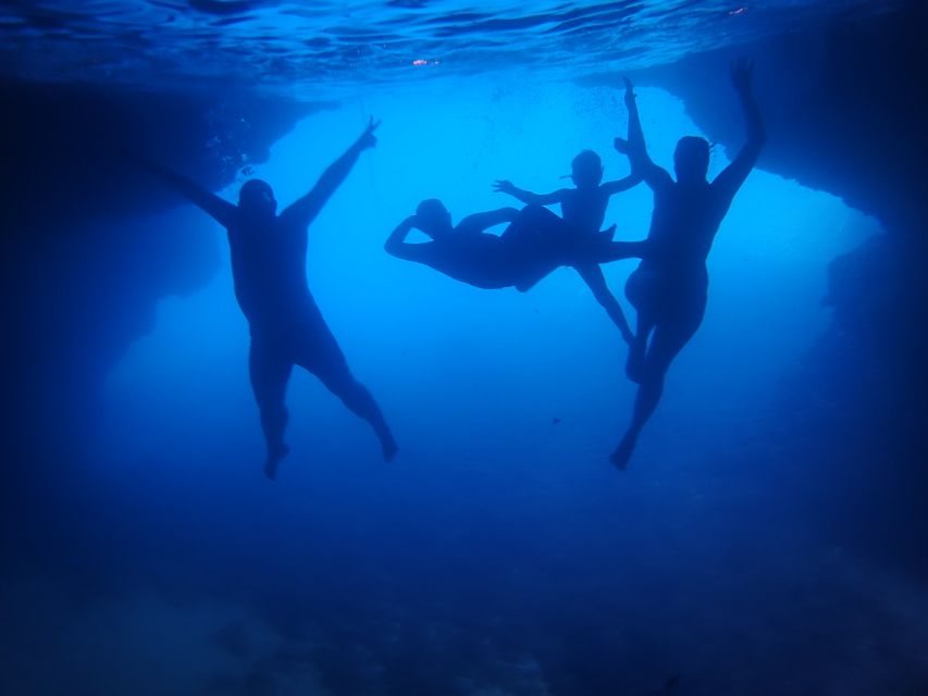 From Dubrovnik: Mljet National Park & Elaphiti Islands Trip - Koločep, the Blue Cave, and the final swim