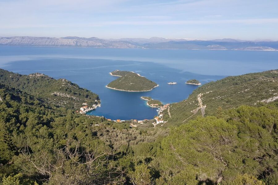 From Dubrovnik: Pvt Speedboat Cruise to Mljet&Sipanska Luka - Key points to know before you book