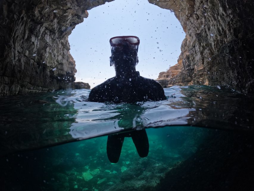 From Fazana: Dolphin watching and snorkeling in Blue Cave - Should you book it?
