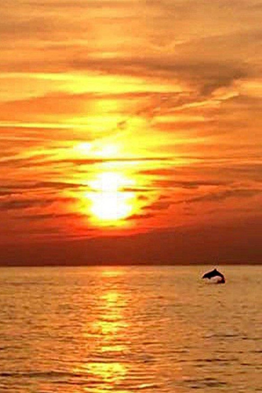 From Fazana: Dolphin watching sightseeing cruise at sunset - Leaving Fazana on a traditional wooden boat