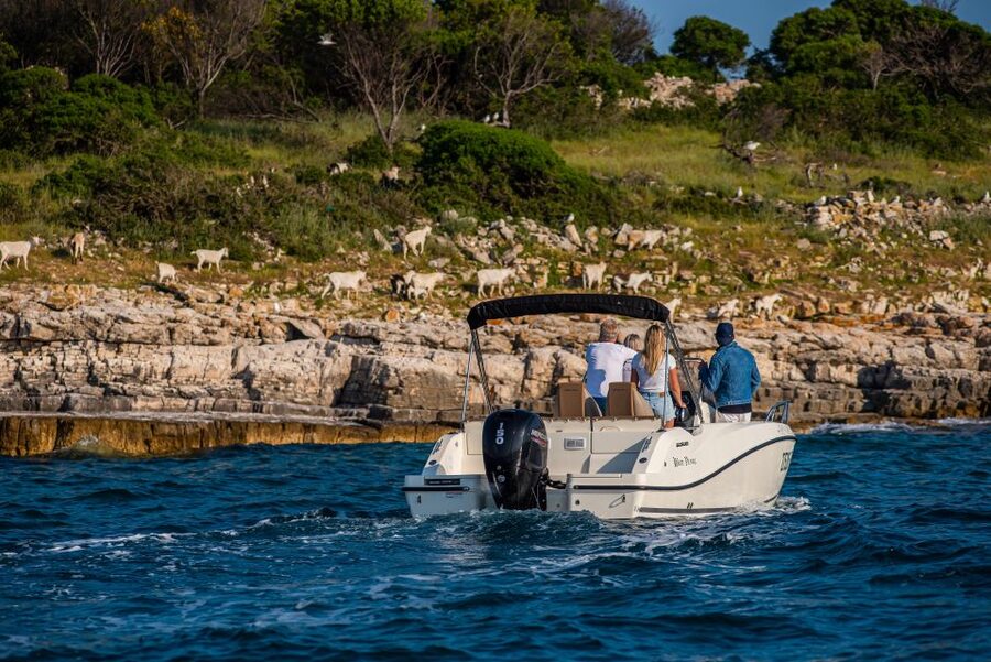 From Fažana: Private boat tour of Brijuni Islands - Should you book it?