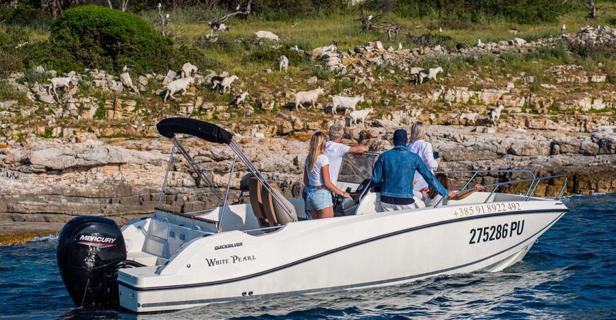 From Fažana: Private boat tour of Brijuni Islands - Setting out from Fažana port