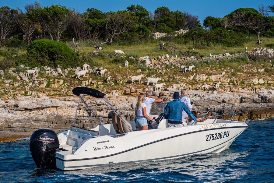 From Fažana: Private boat tour of Brijuni Islands - Seeing all 14 islands from the water