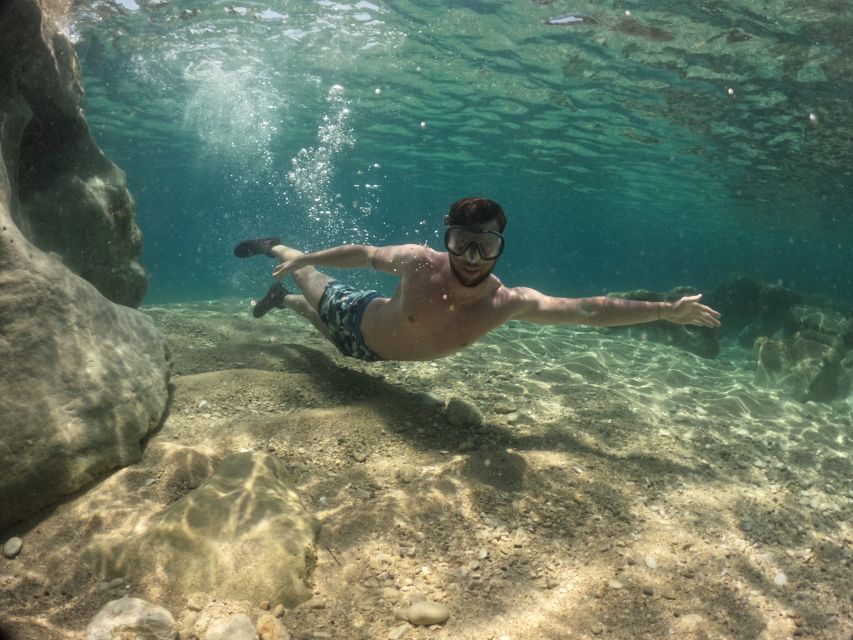 From Fažana: snorkeling at sea cave and Brijuni Island - Should you book it?